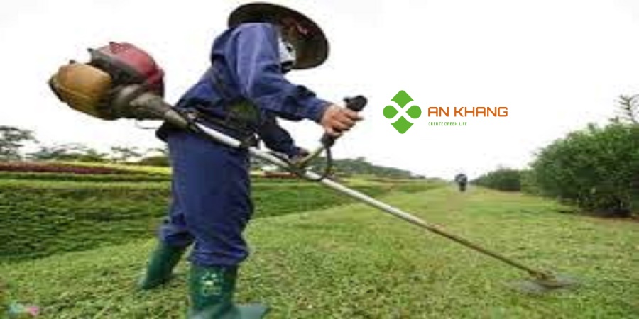 Dịch Vụ Cắt Cỏ Tại KCN Bình Dương đáng chọn